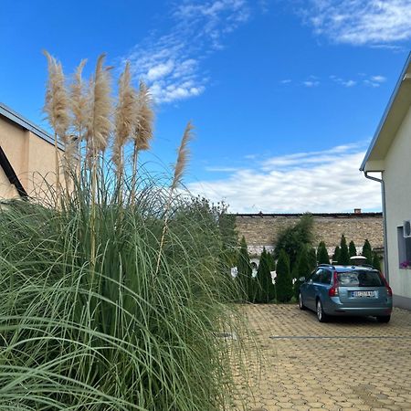 Nest Zen Garden Novi Sad Exterior foto