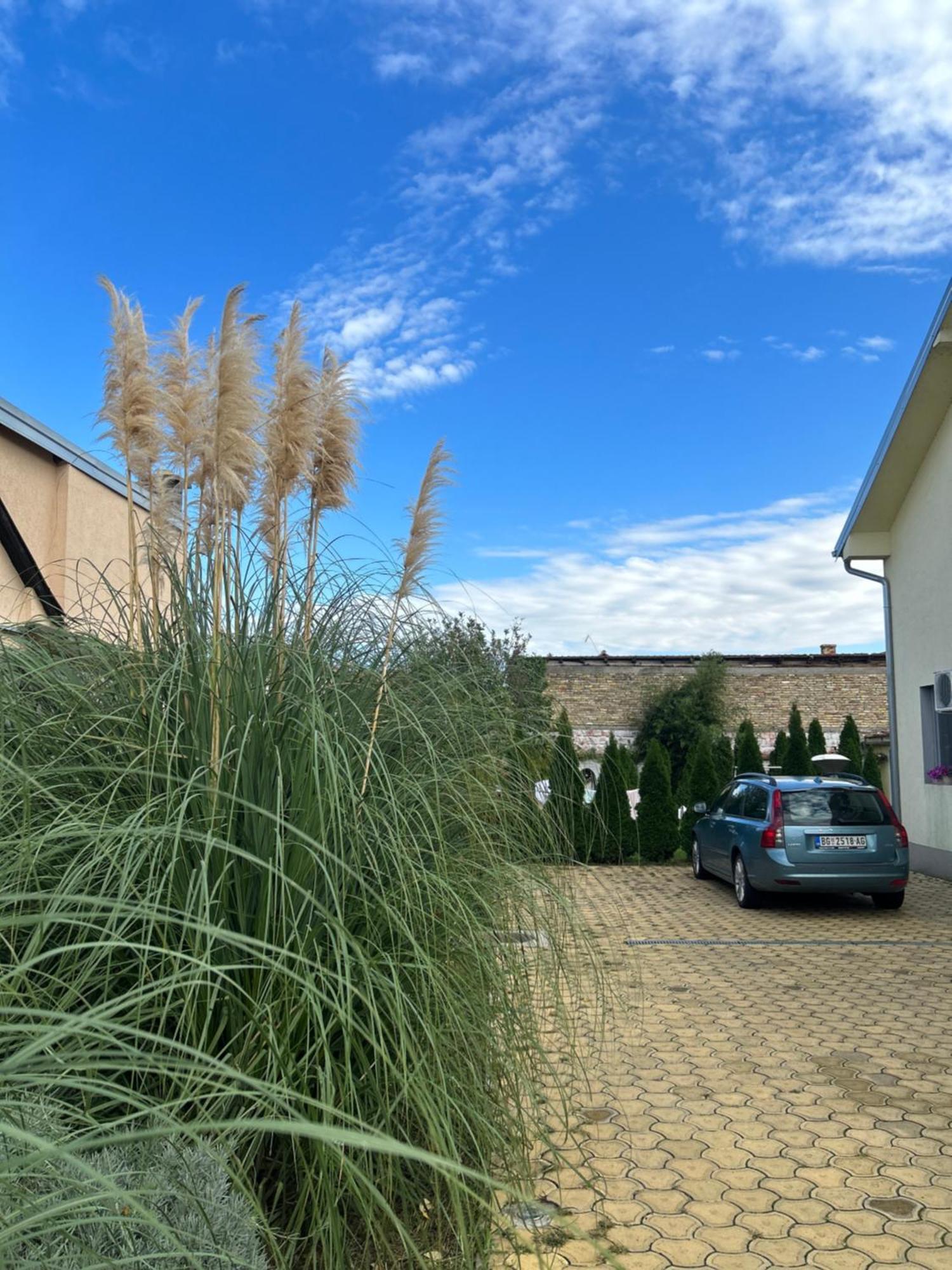 Nest Zen Garden Novi Sad Exterior foto